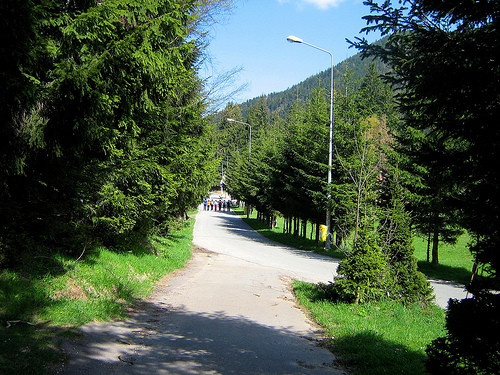 V-ar tenta o plimbare... la 20 de metri inaltime, prin copaci?