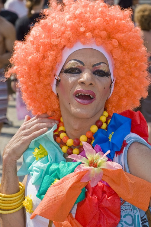 Parada gay 2008: nici un incident, dar mai multe amenzi si arestari