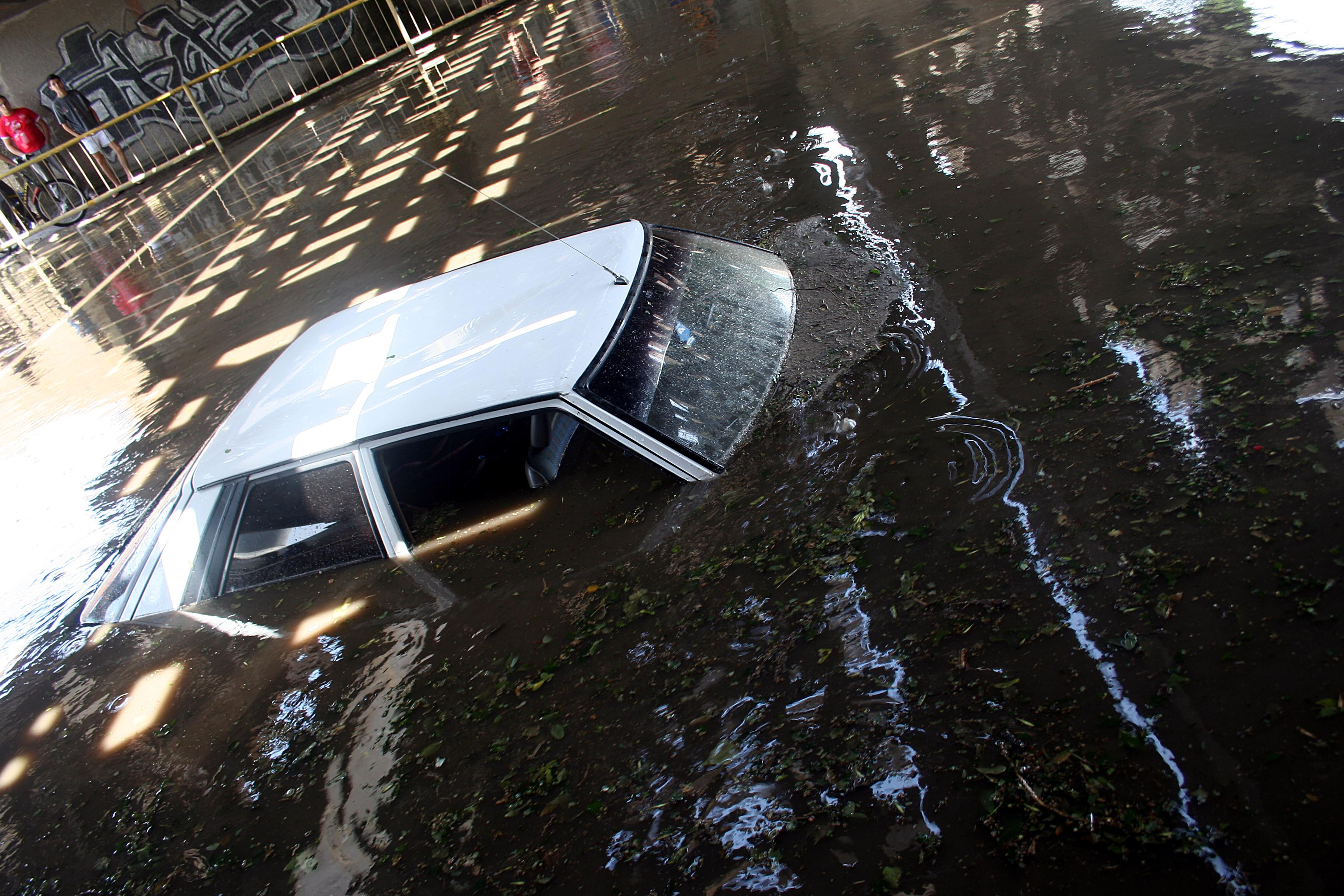 Cat pe ce sa moara inecata... pe sosea!