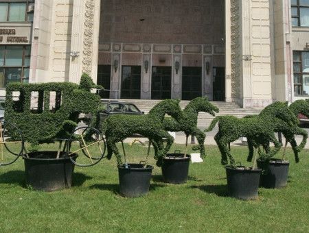 La vanatoare de "cai verzi" prin Bucuresti!