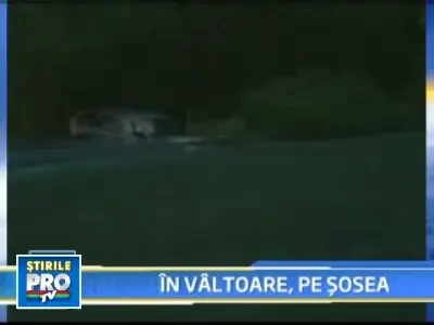 Cat pe ce sa moara inecata... pe sosea!