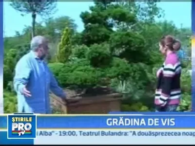 Ne pricepem la case si masini, dar cu amenajarea gradinilor stam cam prost!