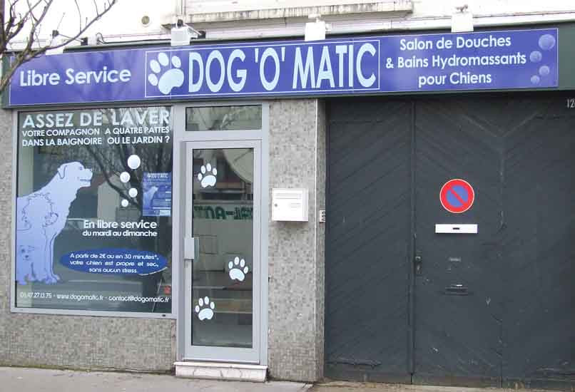 Pisici si caini spalati la masina! Vezi VIDEO si GALERIE!