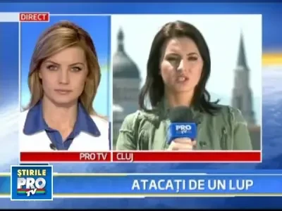 Trei bistriteni au fost muscati de un lup turbat!