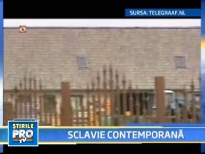 Mai rau ca in lagar! Romani sechestrati intr-o ferma din Olanda!