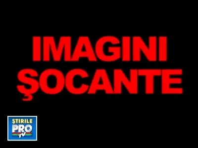 Acuzatii socante la Zoo Braila: cai omorati pentru a hrani leii!