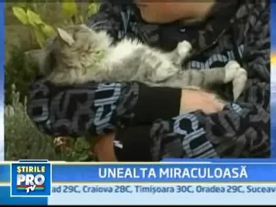 Australia: salvat de la moarte de o masina electrica de gaurit