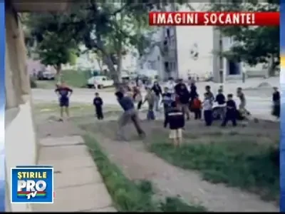 STOP TORTURARII ANIMALELOR!