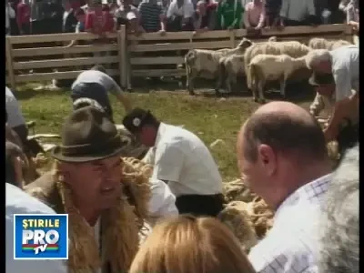 Presedintele Basescu, la tuns oi