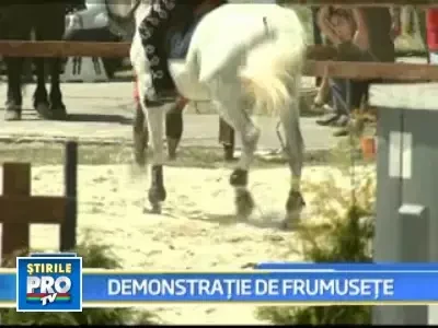 Echitatie, cascadorii si lupte, intr-un spectacol de zile mari in Crangasi!