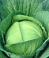 Varza si mustarul natural contraataca efectele alimentelor cancerigene