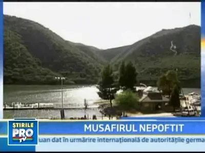 Ursul, cel mai bun tovaras de picnic al omului