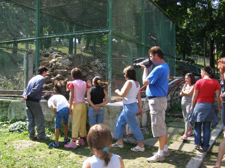 Noua atractie la Gradina Zoologica din Ploiesti: un pui de iac!