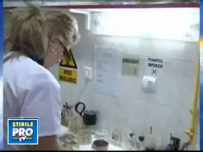 Trei cazuri de gripa noua in Romania!