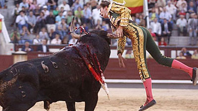 Copil de 12 ani a murit strivit de copitele unui taur!