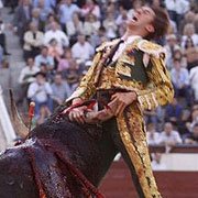 matador