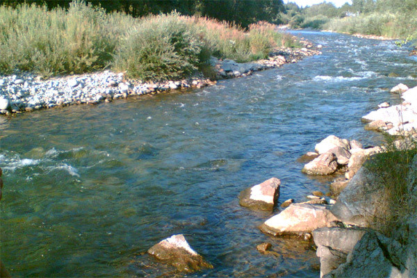 O undita din carbon i-a adus moartea unui barbat din Bacau