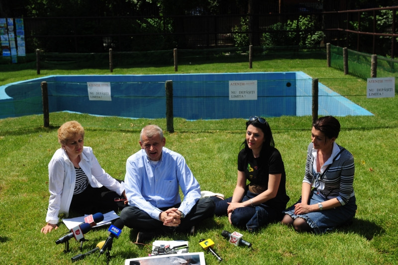 Liber la calcat pe iarba din parcurile Capitalei!