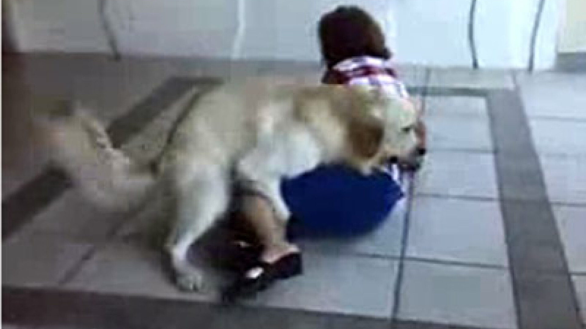 Dragoste... caineasca! Pana te doboara!