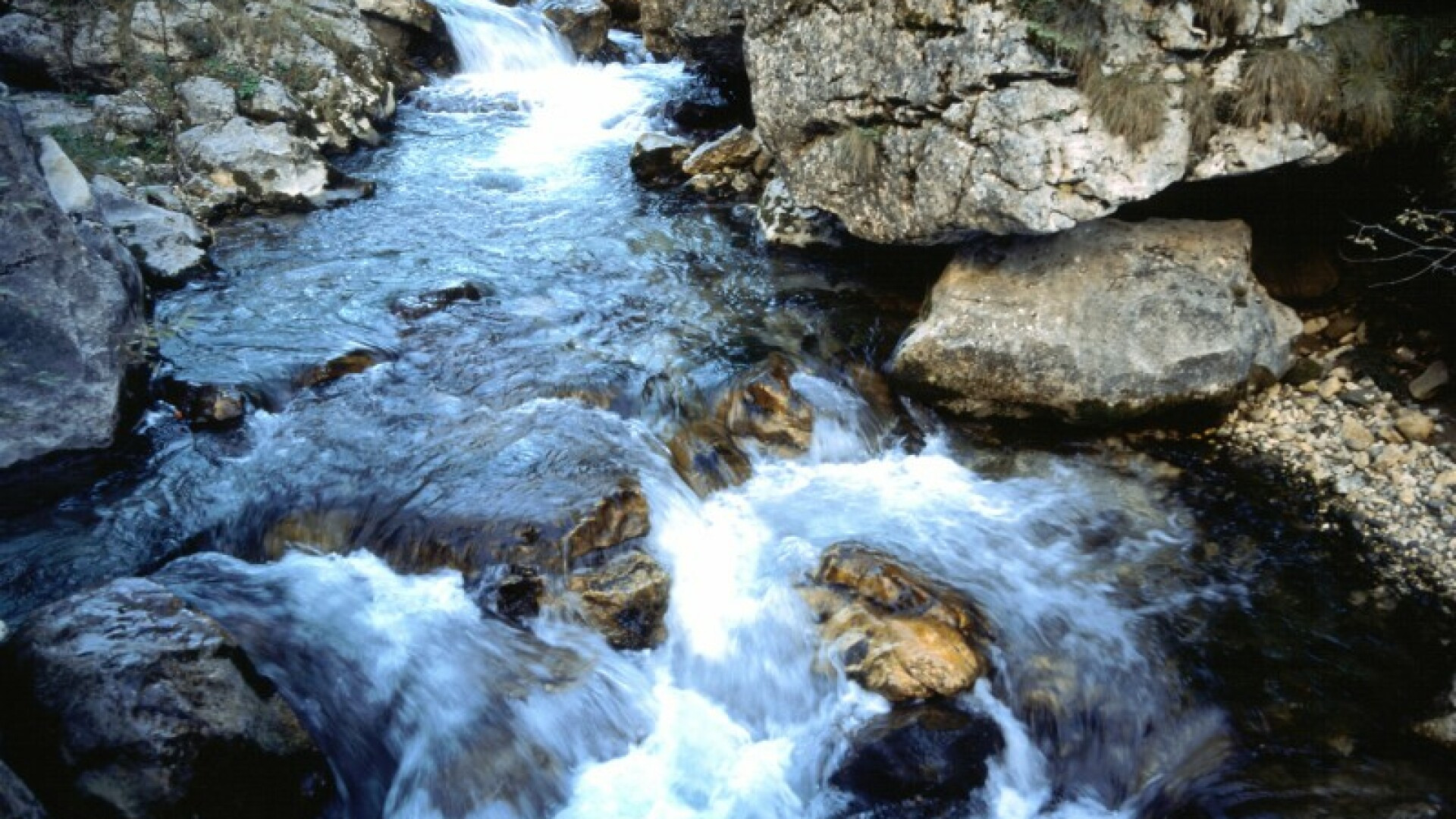 Salvata cu ajutorul telefonului mobil, dupa ce a incercat sa treaca un rau!