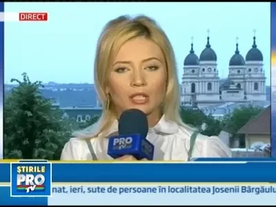 w0106_7_violator_puscarias