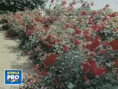 Portret: Copiii vechi si noi