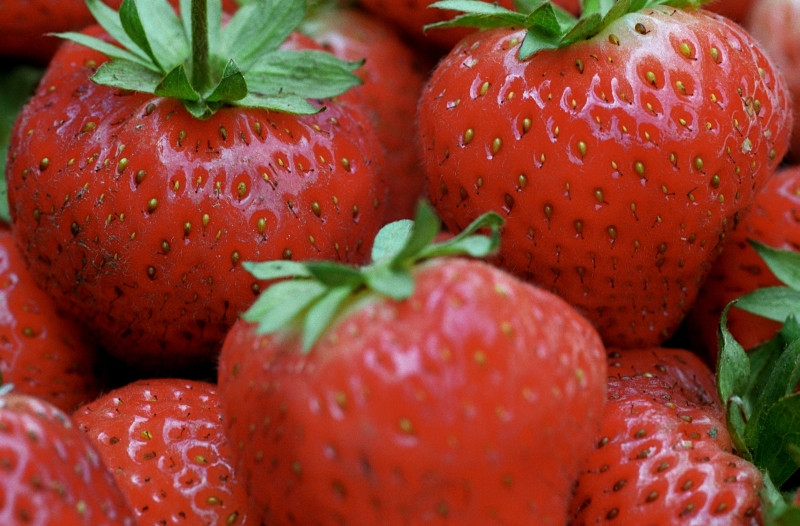 Capsunile romanesti, scumpe, putine si nu foarte dulci. Vremea e de vina