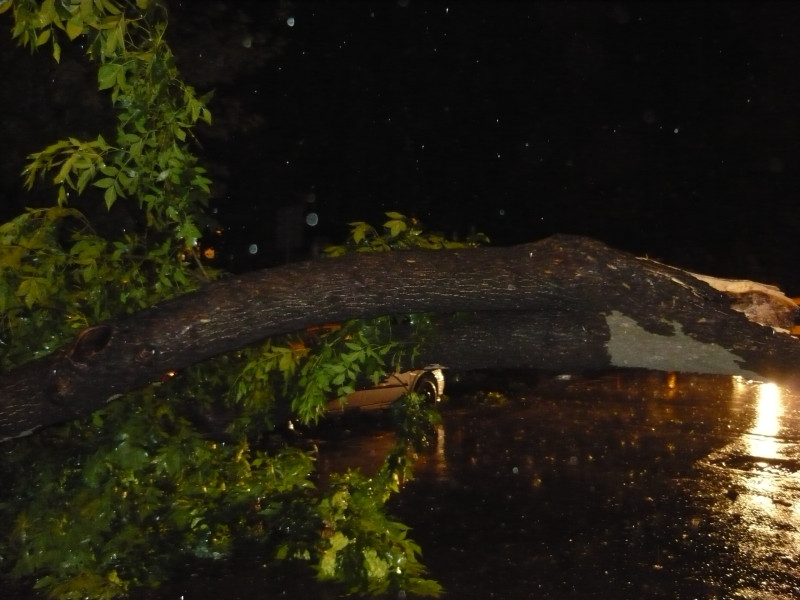Capitala, ca dupa potop! Bucurestiul, maturat de o furtuna violenta!