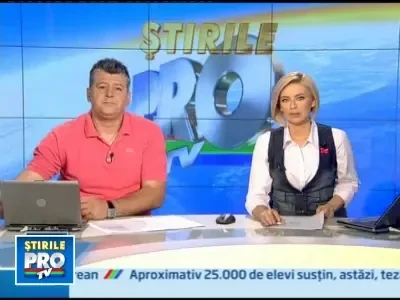 Americani rai: au gonit o ursoaica din oras cu petarde si gloante oarbe