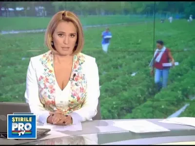 Recolta slaba pentru producatorii romani de capsuni