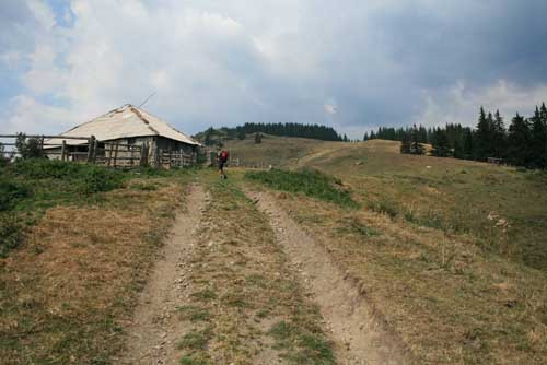 Un cioban si-a ucis colegul de stana. A crezut ca este hot