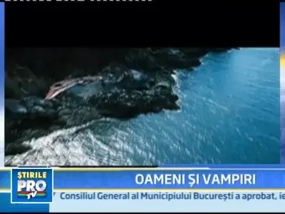 Primele imagini din continuarea peliculei "Twilight"!