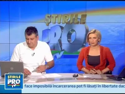 Pinguinul... cu doi tatici!