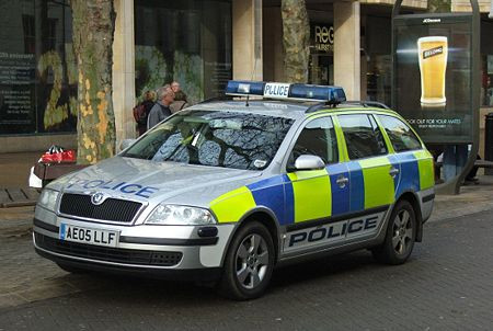 Cum l-a salvat costumul de Scooby Doo pe un tanar de la o bataie crunta intr-un bar