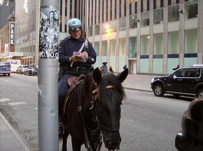 Politia americana face "dreptate" cu pumnul!