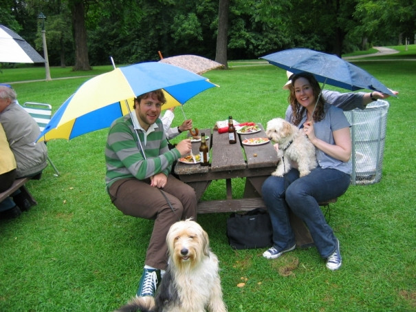 Afla cum va fi vremea in Romania in urmatoarele 3 zile!