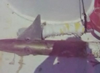 A pescuit o racheta de aviatie a Pentagonului!