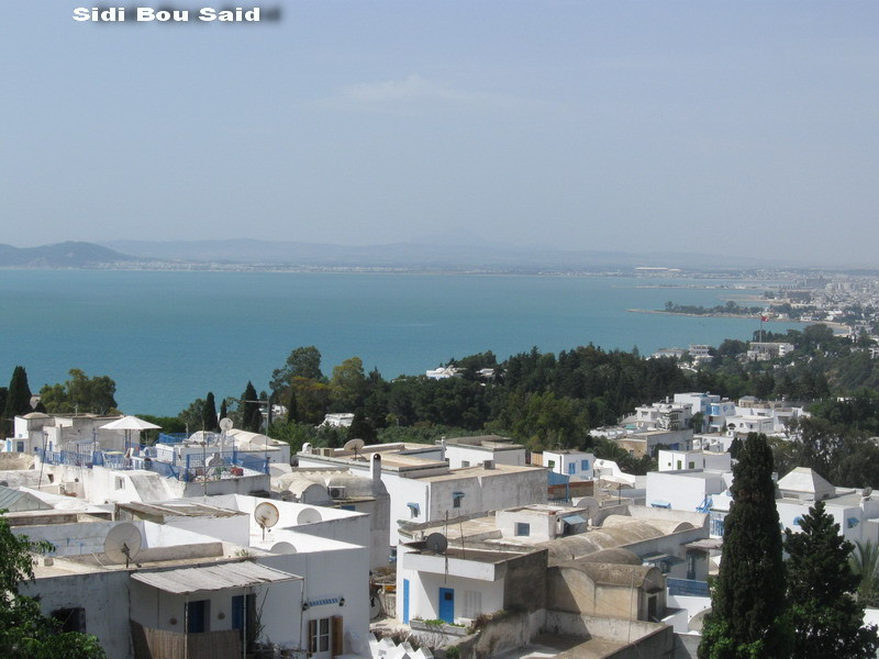 Presedintele tunisian a parasit tara! Premierul asigura interimatul