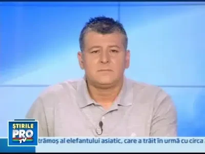 Patru masini facute praf intr-un accident pe DN 85 in judetul Buzau