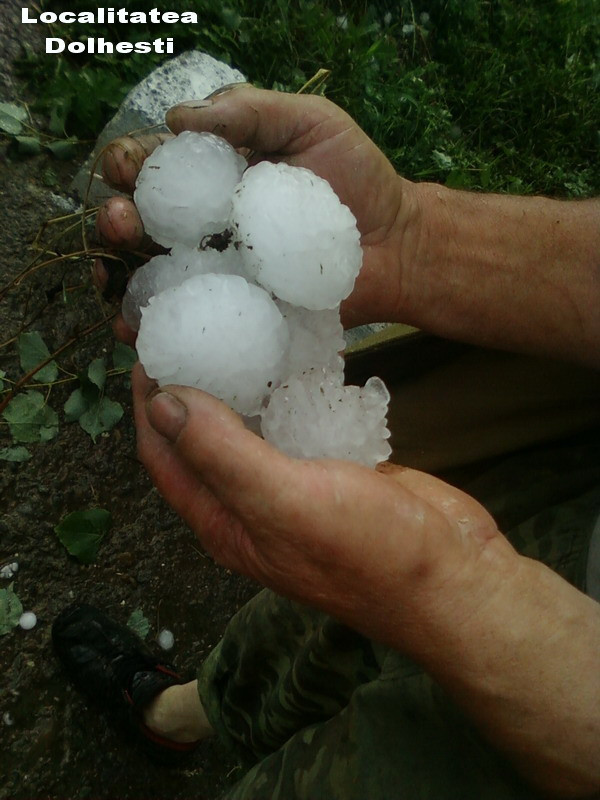 Grindina cat oul de gaina in SUA