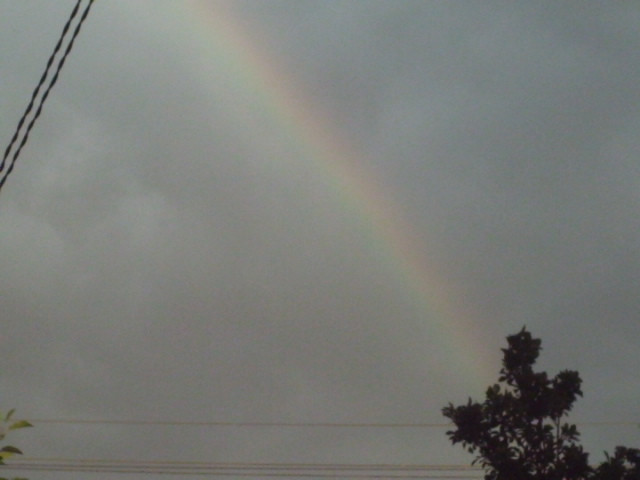 Curcubeul dinaintea furtunii!