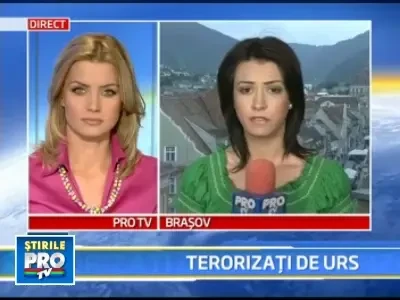 O familie din Sinaia, terorizata in fiecare seara de vizitele ursilor