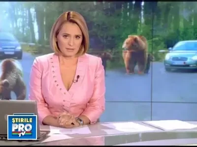 Locuitorii din Sinaia, Brasov si Mures, terorizati de ursi!