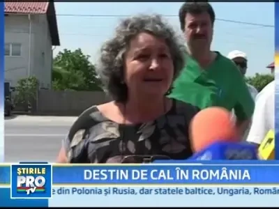 A fost eutanasiata pentru ca fusese abandonata de proprii stapani!