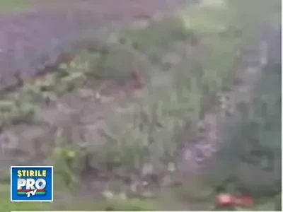 Vijelii puternice si ploaie cu gheata la Dolhasca!