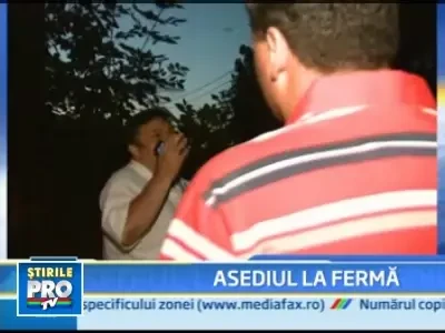 Cai de rasa de mii de euro, condamnati la moarte!