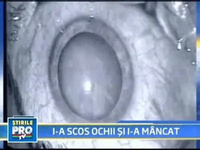 Scene de groaza: i-a smuls ochii din orbite si i-a mancat!