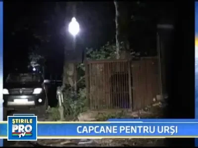 Cine face un pas in afara padurii o sa zareasca Sinaia doar in vederi!