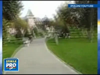 Afla aici cand si unde poti sa-ti sterilizezi gratuit animalul de companie!