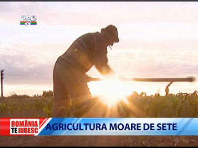 Romania, te iubesc: Agricultura moare de sete!